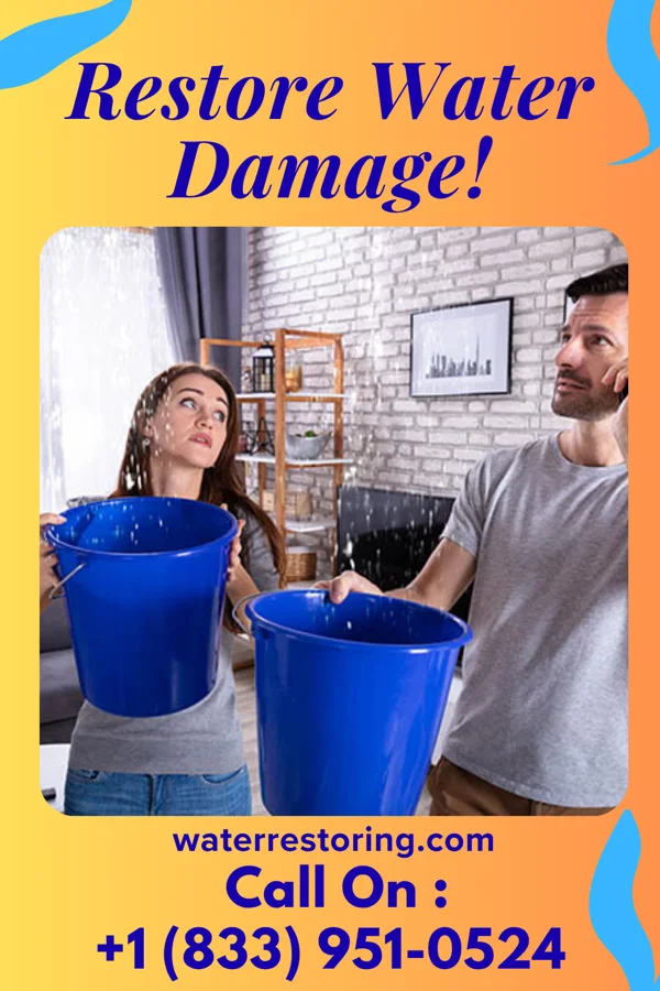 water restoration Southern Water Removal Pros Springview