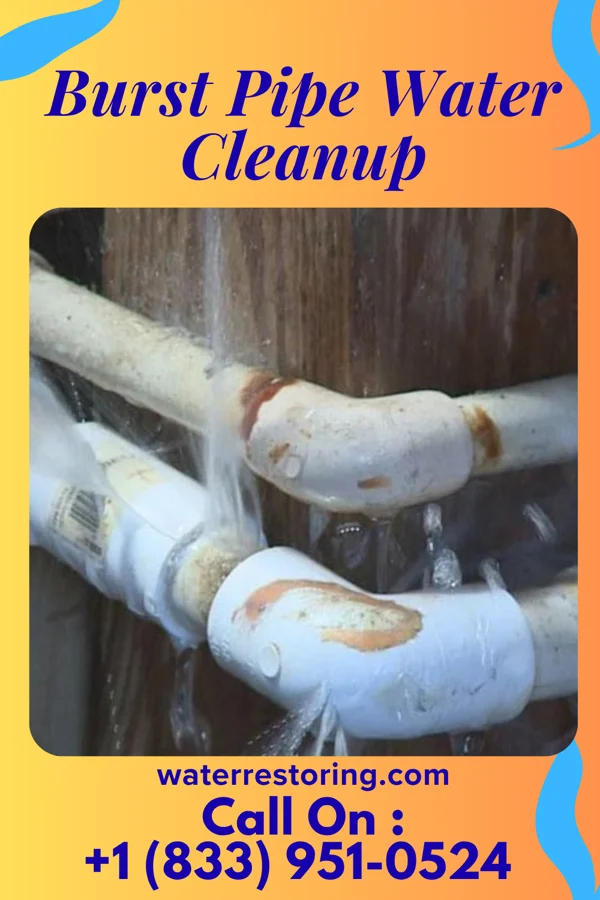 Burst Pipe Water Cleanup in Springview, NE
