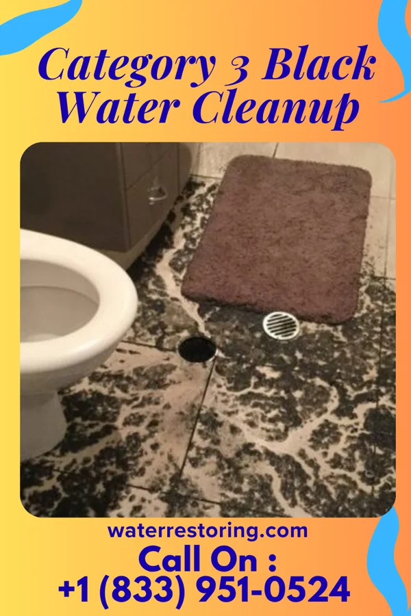 Category 3 Black Water Cleanup in Springview, NE