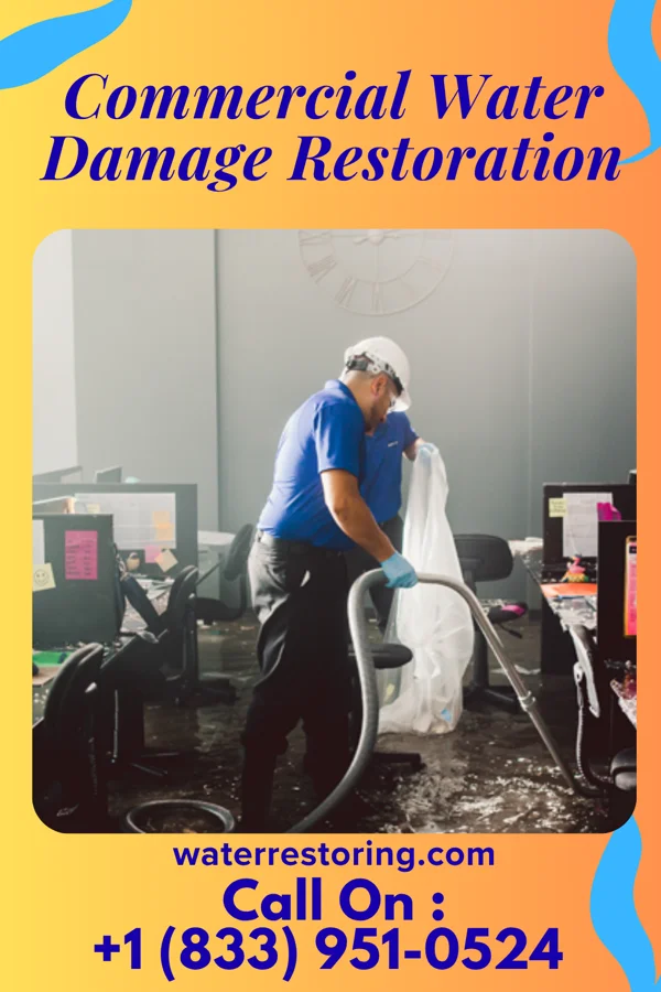 Commercial Water Damage Restoration in Springview, NE