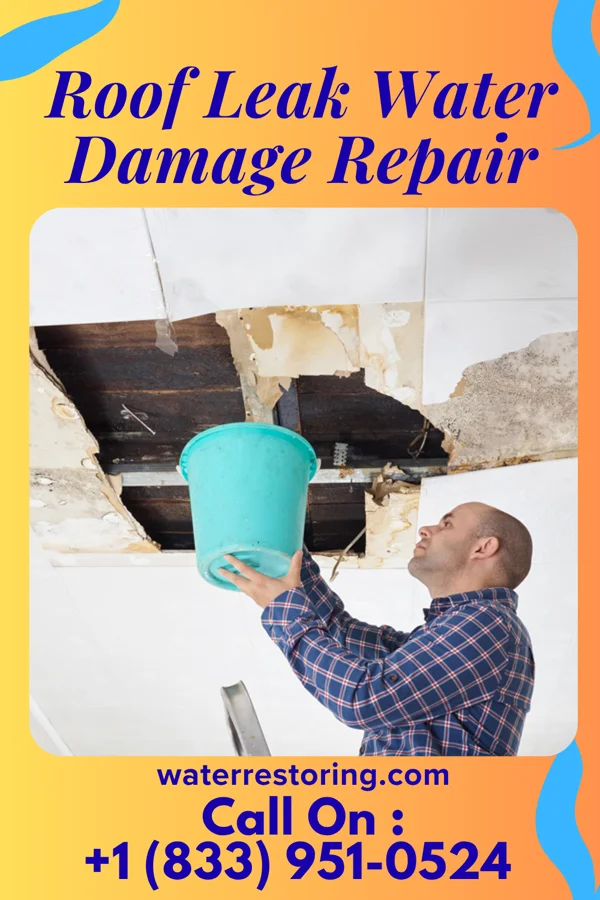 Roof Leak Water Damage Repair in Springview, NE
